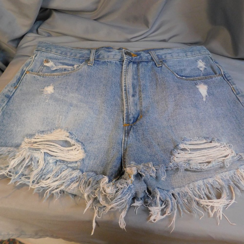 NWOT ARTICLE OF SOCIETY JEAN SHORTS SIZE 32